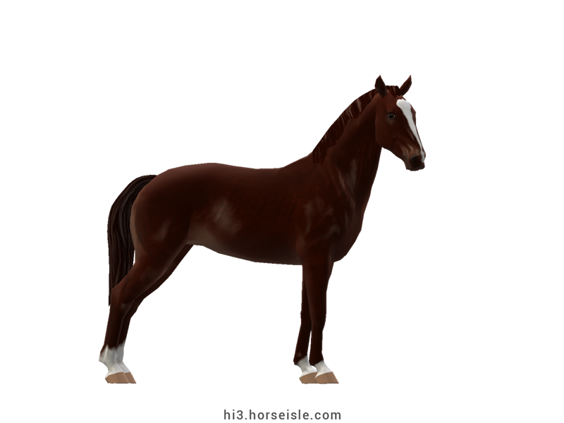 Tennessee Walking Horse Liver Chocolate Chestnut Coat